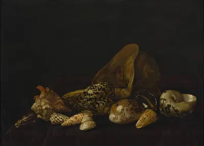 Seashells in a purple tapestry by Абрахам Ван Кальрает — digital art print download