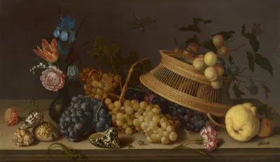 Still Life of Flowers, Fruit, Shells, and Insects by Balthasar van der Ast — digital art print download