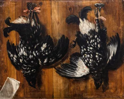 Blackcock by Давид Клёкер Эренштраль, 1697 — digital art print download
