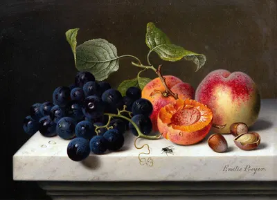 Still Life of Fruits with Grapes, Peaches and Nuts on a Marble Pedestal by Emilie Preyer, 1867 — digital art print download