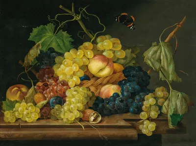 Still Life with Grapes, Peaches and Walnuts by Franz Xaver Petter, 1823 — digital art print download