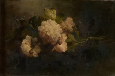Peonies by Margaretha Roosenboom — digital art print download