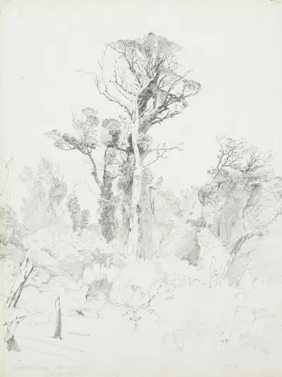 Detribalised natives, Taranaki by Джеймс Кроу Ричмонд, 1869 — digital art print download
