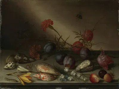 Still Life with Shells, Fruit, and Flowers by Balthasar van der Ast — digital art print download