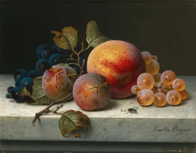 Still Life with Peach, Plums, Grapes and a Fly by Emilie Preyer — digital art print download