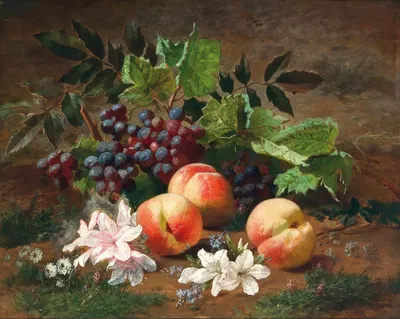 A Forest Still Life with Peach and Grapes by Анри Руссо — digital art print download