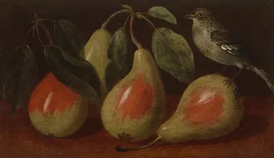 Three pears and a bird on a ledge by Orsola Maddalena Caccia — digital art print download