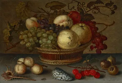 Apples and grapes in a basket, with fruit and shells on a stone ledge by Balthasar van der Ast — digital art print download