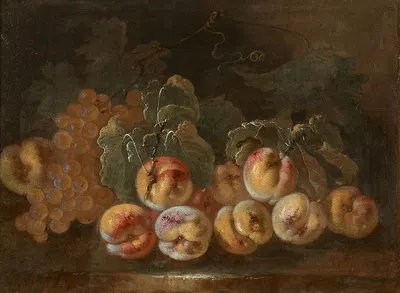 Pêches et raisins sur un entablement by Giovanni Paolo Castelli — digital art print download