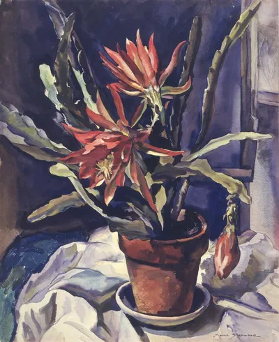 Cactus by Мод Шервуд, 1950-1956 — digital art print download