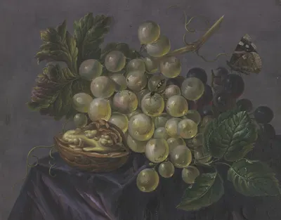 Schmetterling und Wespe bei Trauben by Jacoba Maria van Nickelen — digital art print download