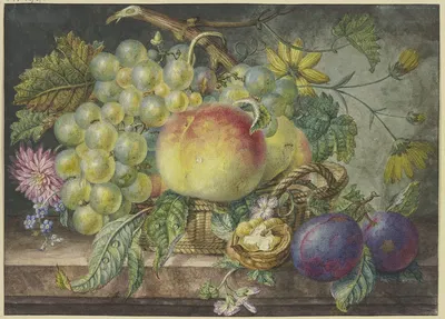 Fruchtstück, ein Korb mit Trauben und Pfirsichen, dabei eine Nuss und zwei Pflaumen by Oswald Wijnen — digital art print…