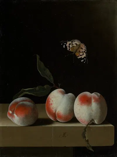 Drei Pfirsiche auf einem Steinsims mit einem Distelfalter by Adriaen Coorte — digital art print download