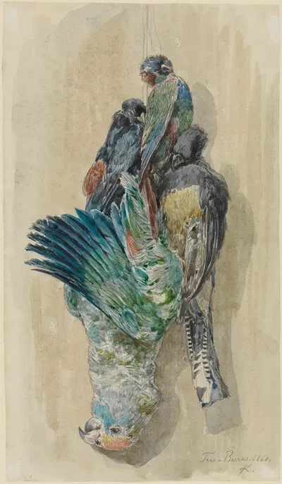 Studie erlegter Papageien und anderer Vögel by Ferdinand Keller, 1860 — digital art print download