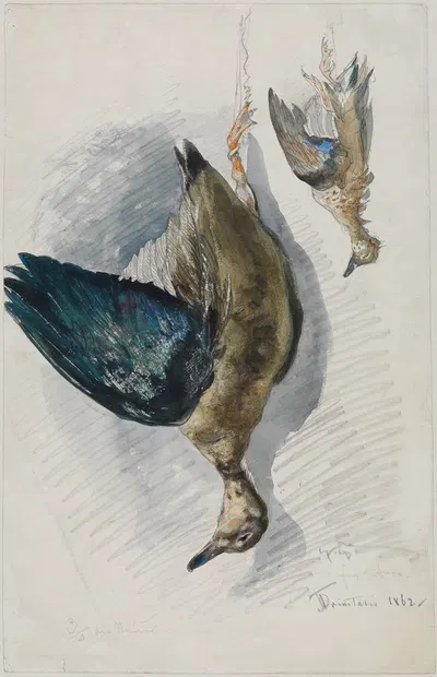 Zwei Studien eines Vogels by Ferdinand Keller, 1862 — digital art print download