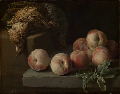 Still life with peaches and partridge by Александр Франсуа Деспор, 1716 — digital art print download