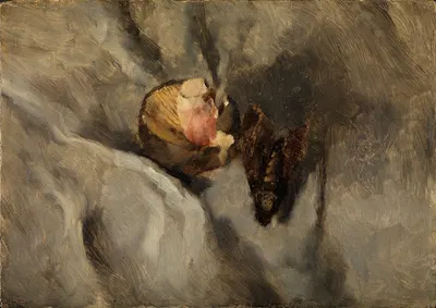 Totenkopfschmetterling mit Pilz auf weißem Tuch by Wilhelm Leibl, 1868 — digital art print download