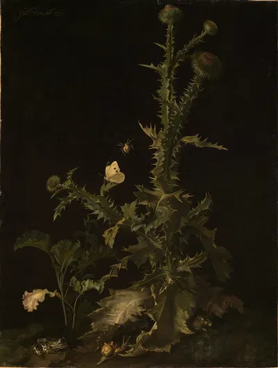 Distel mit verschiedenen Tieren by Willem van Aelst, 1671 — digital art print download