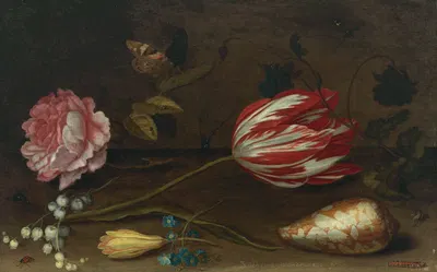 A rose, a tulip, insects, and a shell on a ledge by Balthasar van der Ast — digital art print download