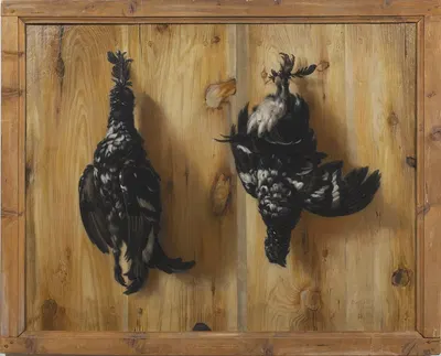 Stilleben med två orrtuppar mot en brädvägg by Давид Клёкер Эренштраль, 1672 — digital art print download