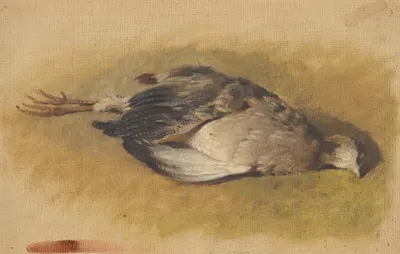 Sketch of a Dead Partridge by Фридрих Карл фон Шейдлин, 1840 — digital art print download