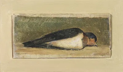 Study of a Dead Swallow by Johan Thomas Lundbye, 1837 — digital art print download