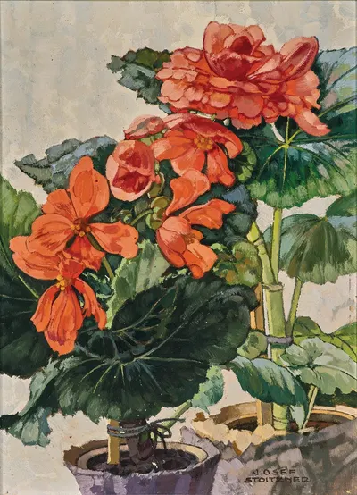 Orange Begonien by Josef Stoitzner, 1940 — digital art print download