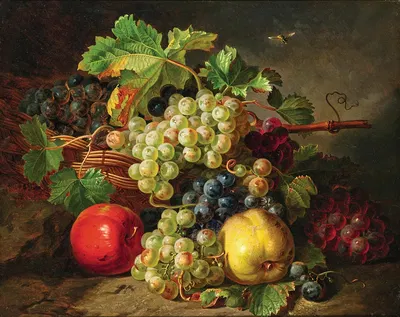 Fruit Still Life with Grapes, Apples and Daisies by Antal Jozsef Strohmayer — digital art print download