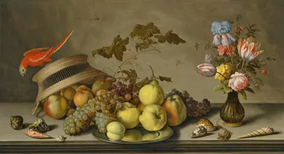 A parakeet on an upturned basket, with fruit, a pewter plate and shells on a stone ledge by Balthasar van der Ast — digital…