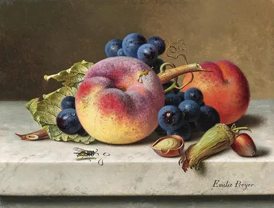 Still Life with Peaches, Red Grapes, Hazelnuts and a Wasp by Emilie Preyer — digital art print download