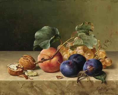 Still Life with Two Walnuts, Plums, Grapes, a Peach on a Branch and a Fly by Emilie Preyer, 1871 — digital art print download
