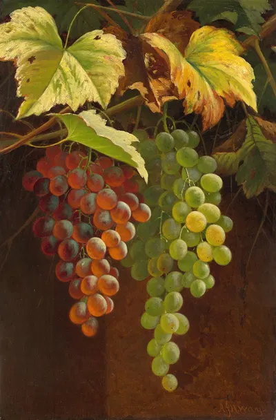 Two Bunches of Grapes by Andrew John Henry Way — digital art print download
