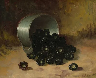 Blackberries Spilling from Tin Cup by Carducius Plantagenet Ream — digital art print download