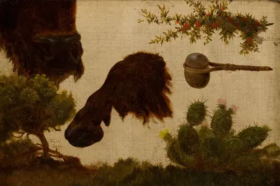 Study for 'The Wounded Buffalo'; hill sage, buffalo head and hoof, bull berry, stone axe and cactus … by Шарль Фердинанд…
