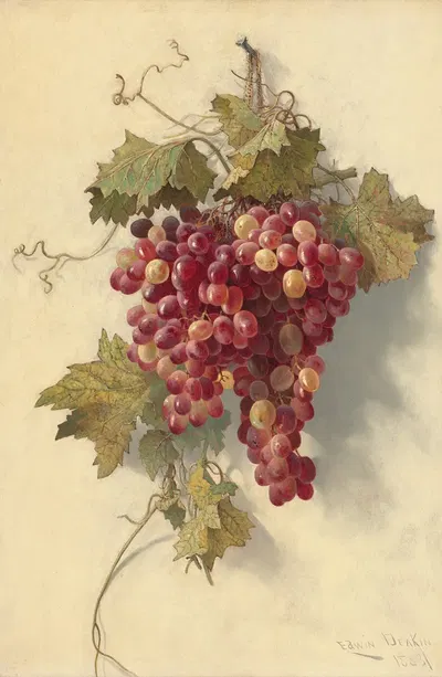 Grapes Against White Wall by Edwin Deakin, 1883 — digital art print download