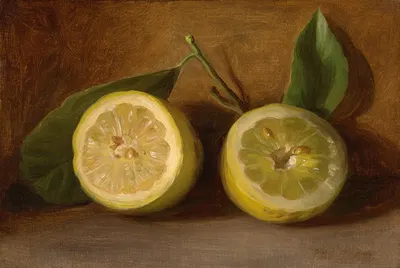 Lemons by Джордж Генри Холл, 1884 — digital art print download