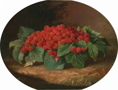 Raspberries by Лилли Мартин Спенсер, c. 1859 — digital art print download