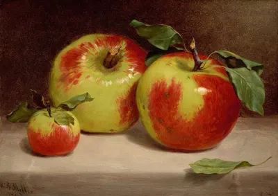Study of Apples from Nature by William Rickarby Miller, 1863 — digital art print download