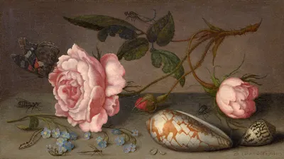 Roses, coquillages et insectes sur une table by Balthasar van der Ast — digital art print download