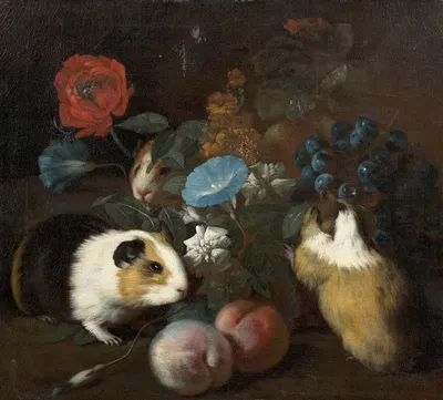 Composition aux trois cochons d'Inde, aux pêches et aux fleurs by Franz Werner von Tamm — digital art print download