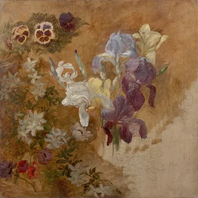 Study of flowers by Мари Браккемонд — digital art print download