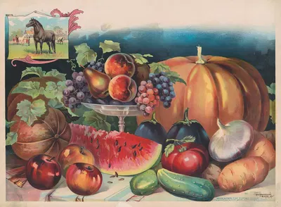 Farm produce with small image of horse in the upper left corner by Donaldson Lith. Co, 1893 — digital art print download