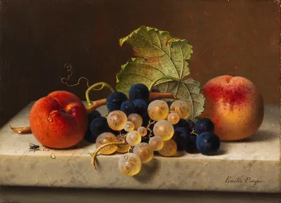 Fruit still life with two peaches and blue and green grapes on the branch and a vine leaf on a marble table top by Emilie…