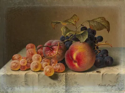 Stillleben mit Pfirsichen und Trauben auf weißem Tischtuch by Emilie Preyer — digital art print download