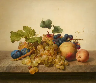 Stillleben mit Trauben, Pflaumen und Pfirsichen by Johann Wilhelm Preyer, 1843 — digital art print download