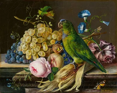 Stillleben mit Papagei by Josef Schuster, 1834 — digital art print download
