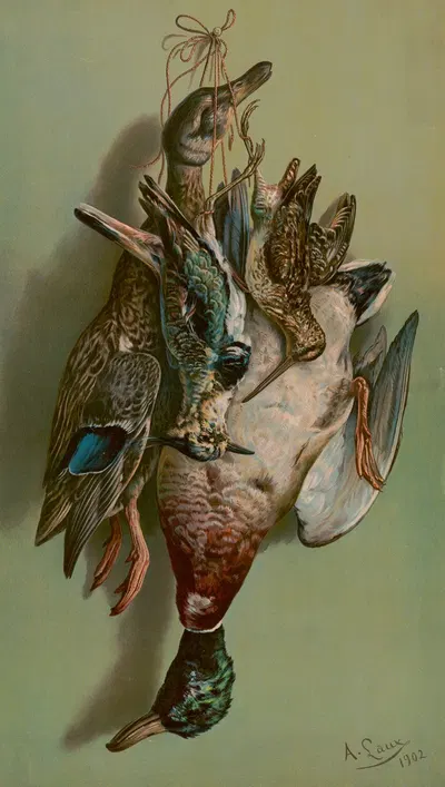Mallards, jay & woodcock by Мюллер, Люхсингер и Ко, 1902 — digital art print download