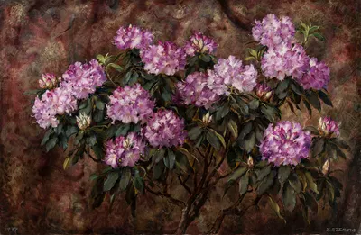 Rododendrony by Францишек Эйзмонд, 1939 — digital art print download