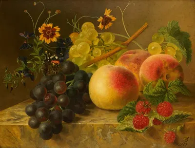 Vruchtenstilleven by Arnoldus Bloemers — digital art print download