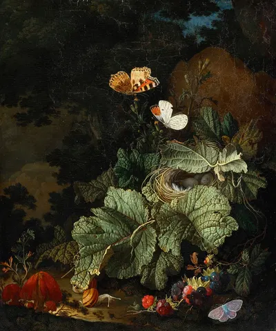A forest floor still life with a bird's nest, toadstools, snails, boysenberries, aurora, and common blue butterflies by…